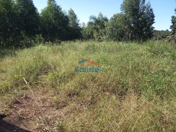Lote/Terreno em Balsa Nova - Santo Antonio