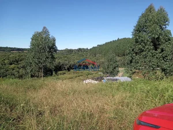 Lote/Terreno em Balsa Nova - Centro