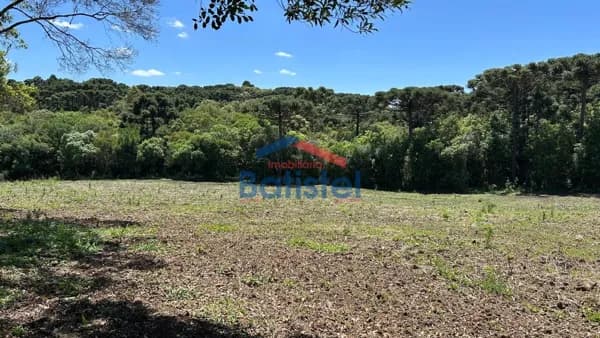 Fazenda/Sítios/Chácaras em Balsa Nova - Rodeiozinho