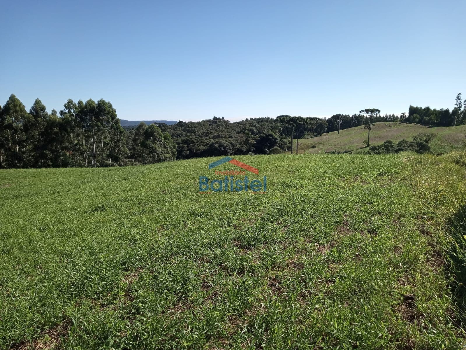 Lote/Terreno em Balsa Nova - Santo Antonio