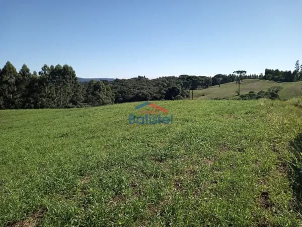 Lote/Terreno em Balsa Nova - Santo Antonio
