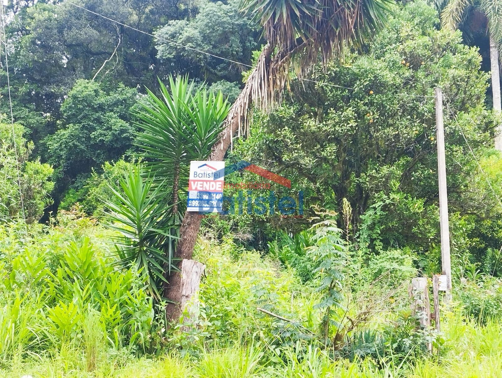 Lote/Terreno em Campo Largo - Três Corregos