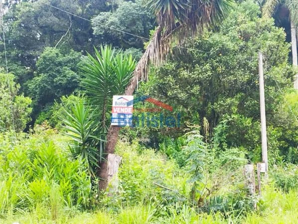Lote/Terreno em Campo Largo - Três Corregos