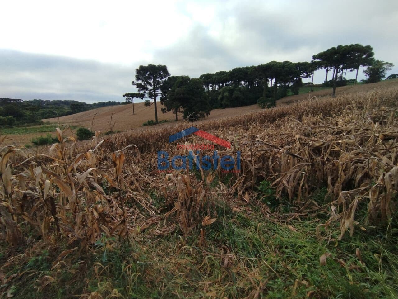 Terreno no São Caetano