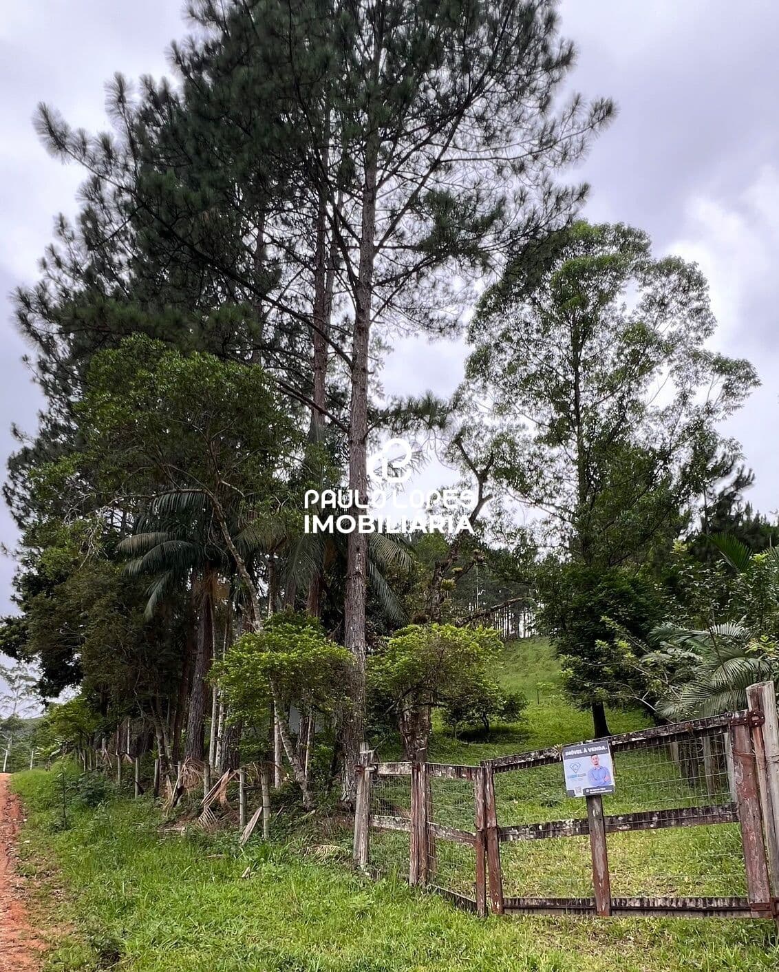 Sítio no Espraiado em Paulo Lopes/SC - perto Cachoeira (fotos)