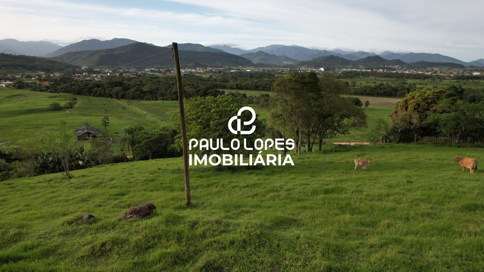 8 hectares c/ água e energia à venda em Paulo Lopes