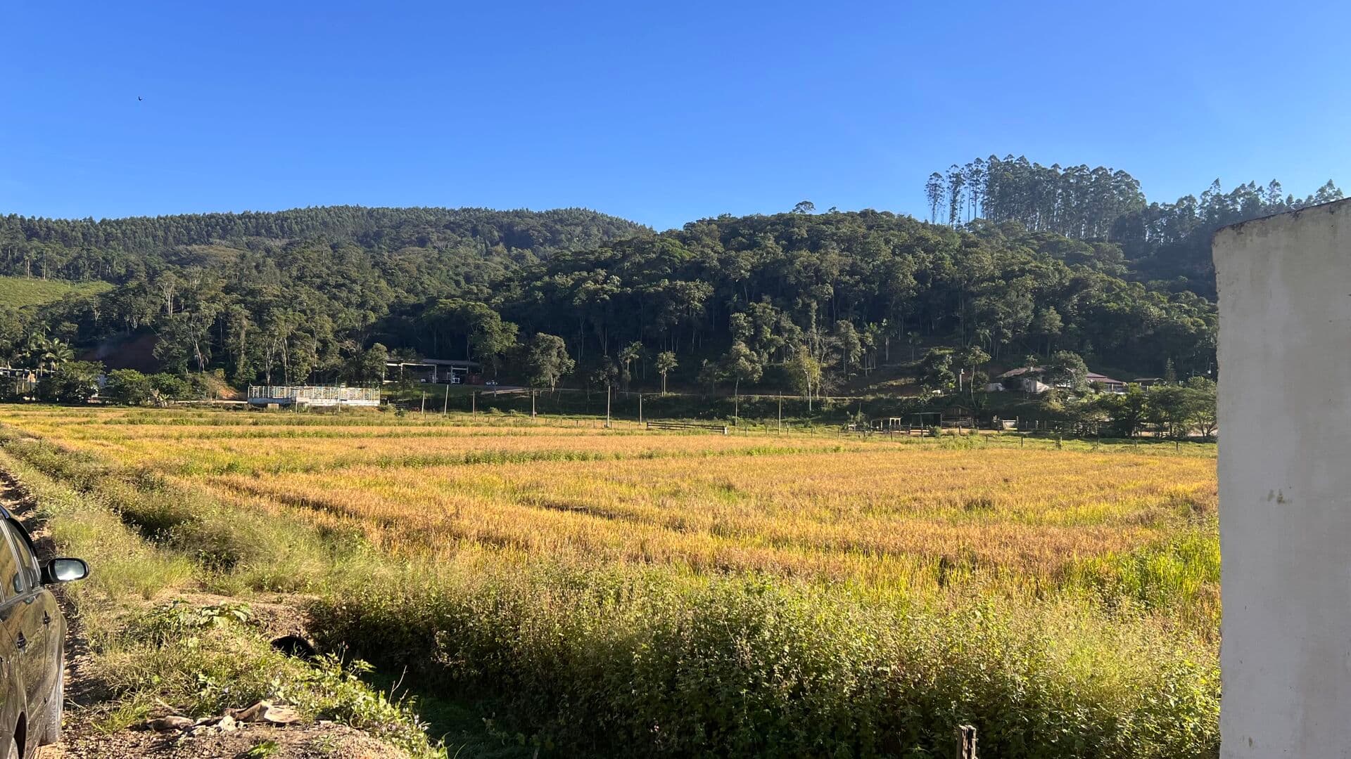 Terreno Industrial/Comercial à venda em Ilhota – Bairro Baú Baixo