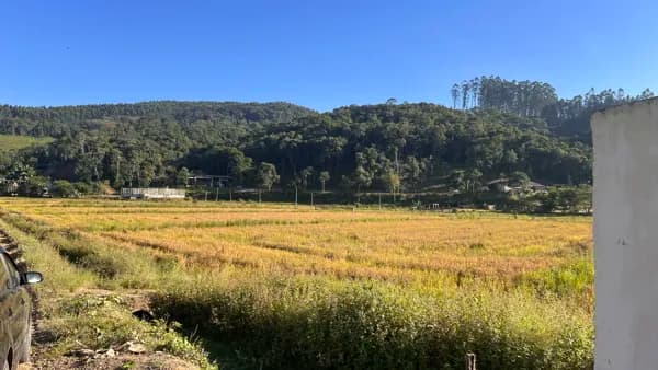 Terreno Industrial/Comercial à venda em Ilhota – Bairro Baú Baixo