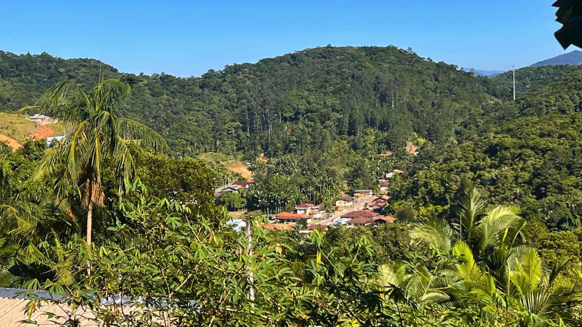 Terreno Residencial ou Chácara à venda em Gaspar - Bairro Belchior Alto