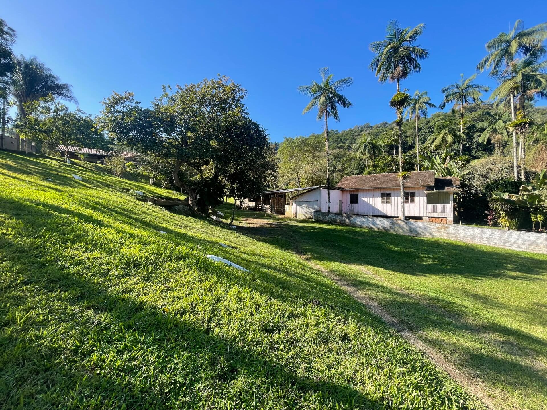 Sítio à venda em Gaspar/SC- Bairro Belchior Baixo