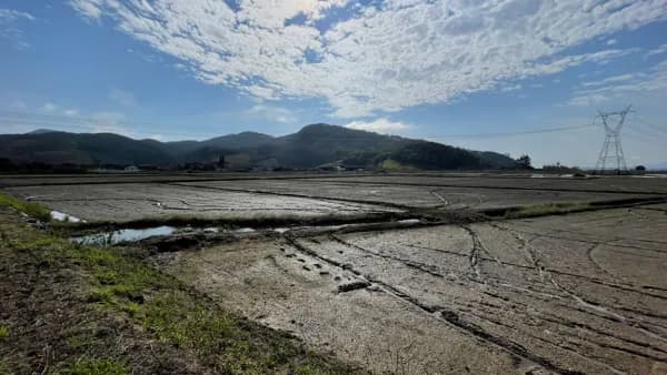 Terreno Industruial/Comercial à venda em Gaspar/SC- Bairro Arraia D'Ouro