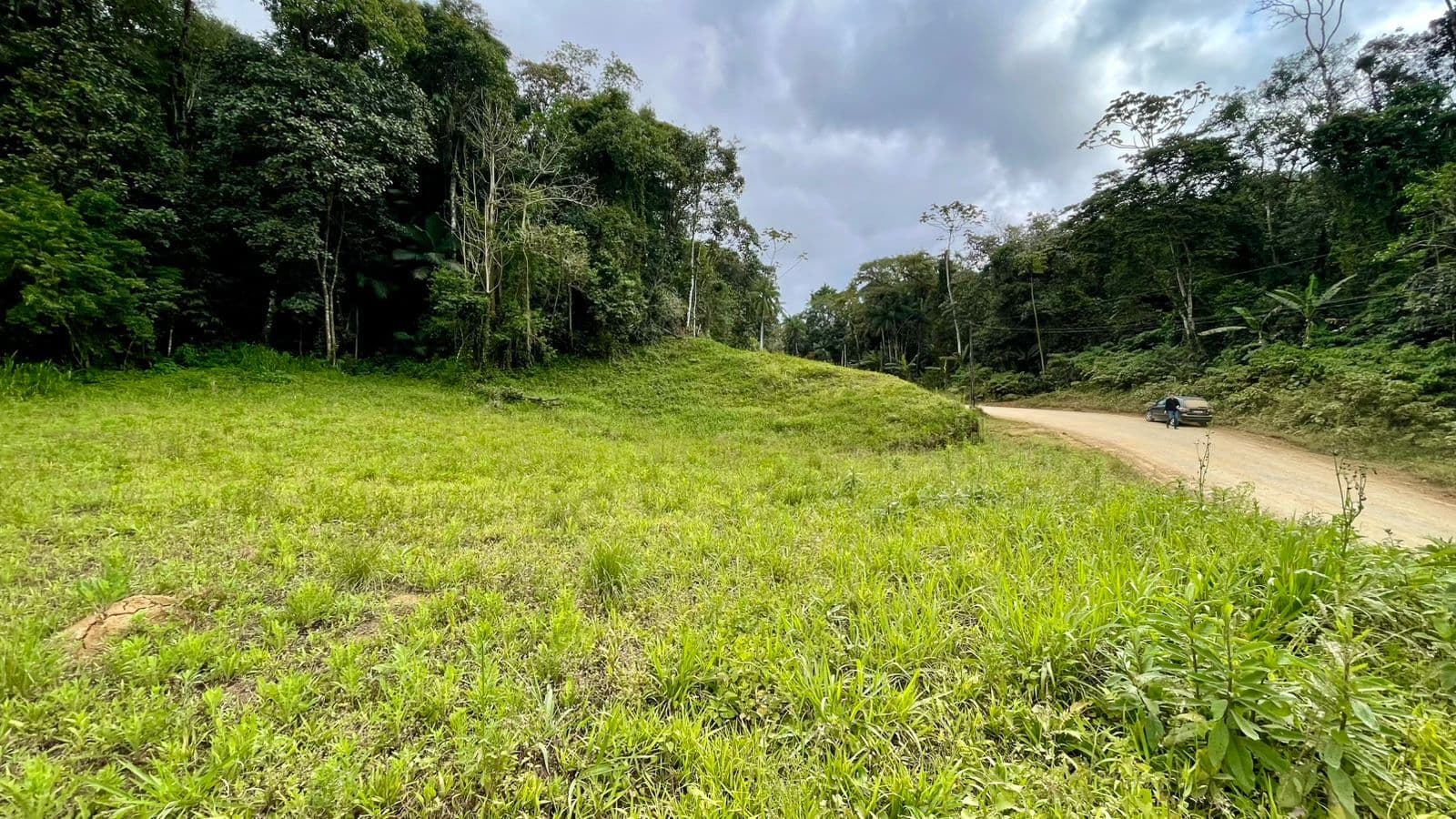 Terreno para sítio à venda em Luiz Alves/SC- Bairro Ribeirão máximo