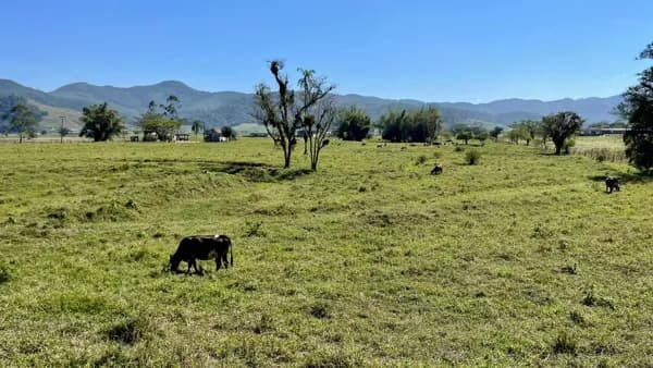 Terreno à venda em Gaspar/SC