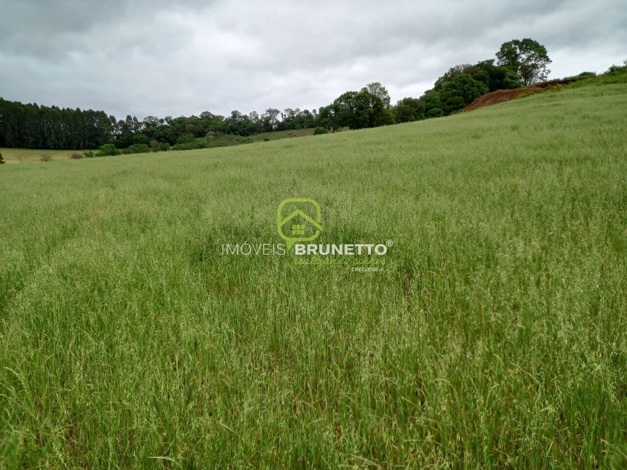 24.000 m² NA VILA UNIÃO EM CAPINZAL/SC