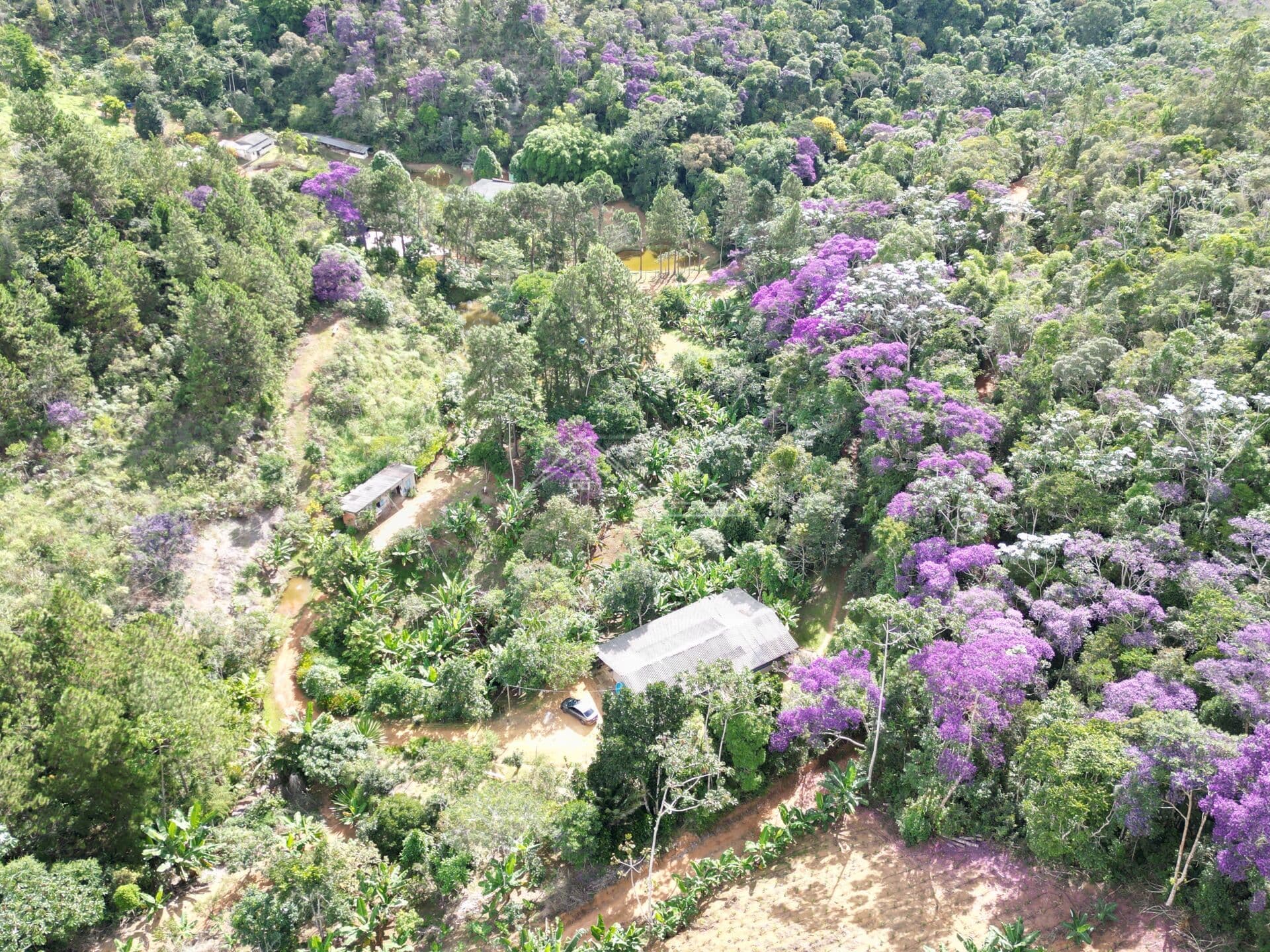 Terreno Rural à Venda | Santa Teresa/ES