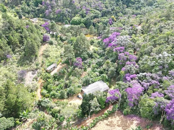 Terreno Rural à Venda | Santa Teresa/ES