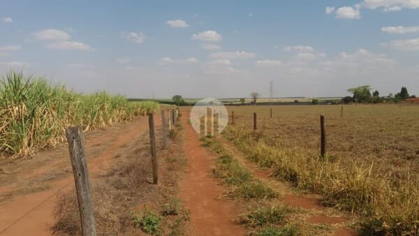 Fazenda/Sítios/Chácaras em Barretos - Nome Bairro 1