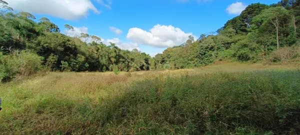 Terreno Rural para Chácara em Campo Largo/PR