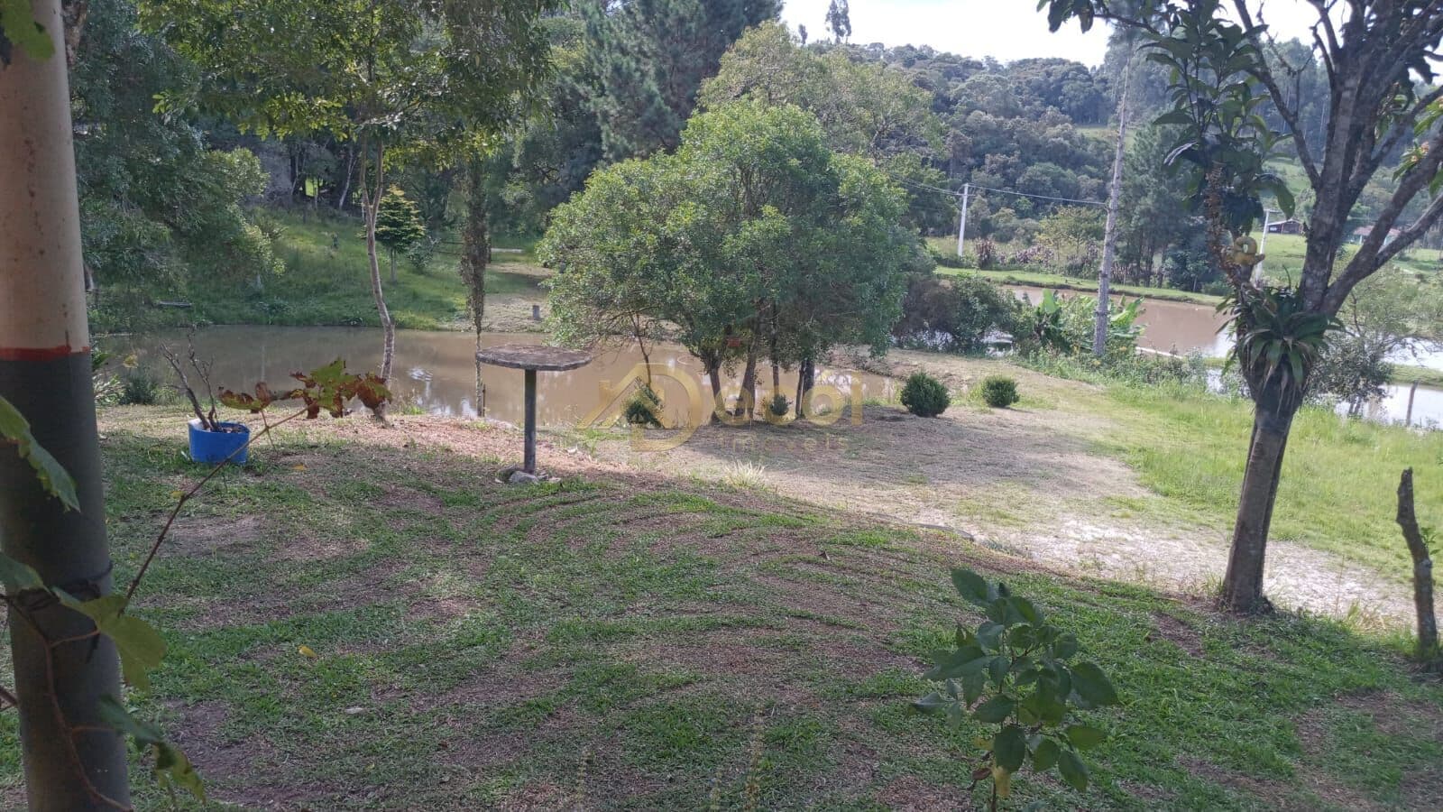 EXUBERANTE CHÁCARA EM BOCAIUVA DO SUL - PR
