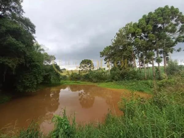 Chácara em Araucária/PR - Próximo a Sociedade São Cassemiro