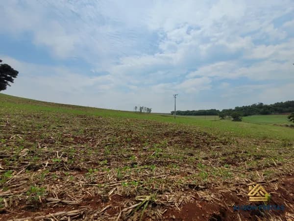 Sítio em Ibiporã com 6,7 alqueires