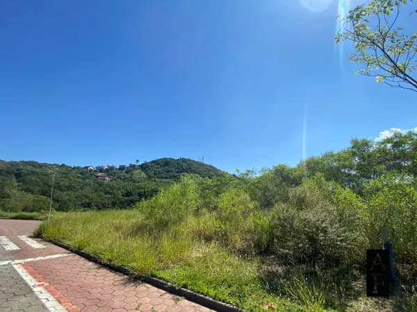 Lote/Terreno em Garopaba - Ferraz