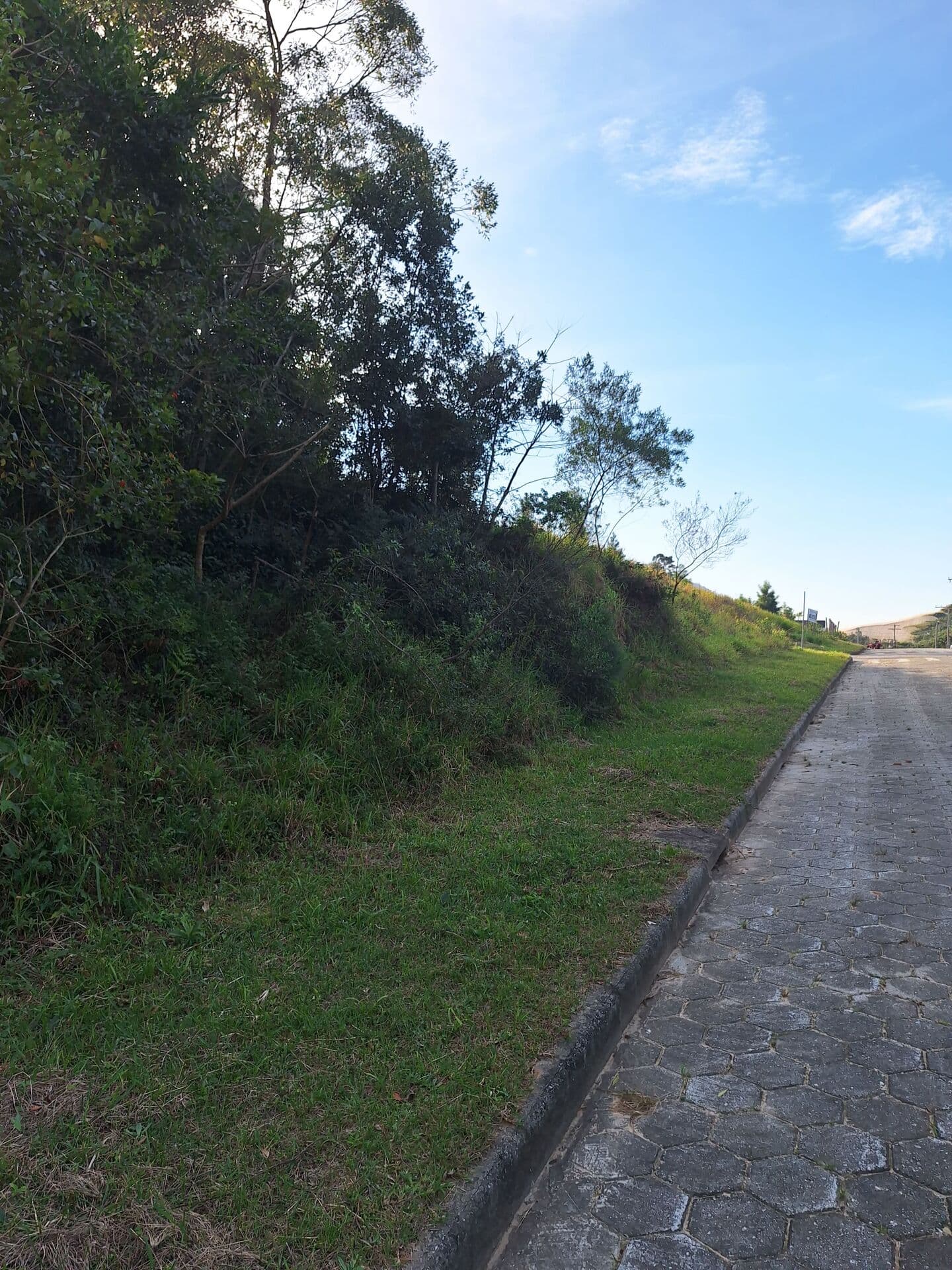 Lote Próximo ao Mar