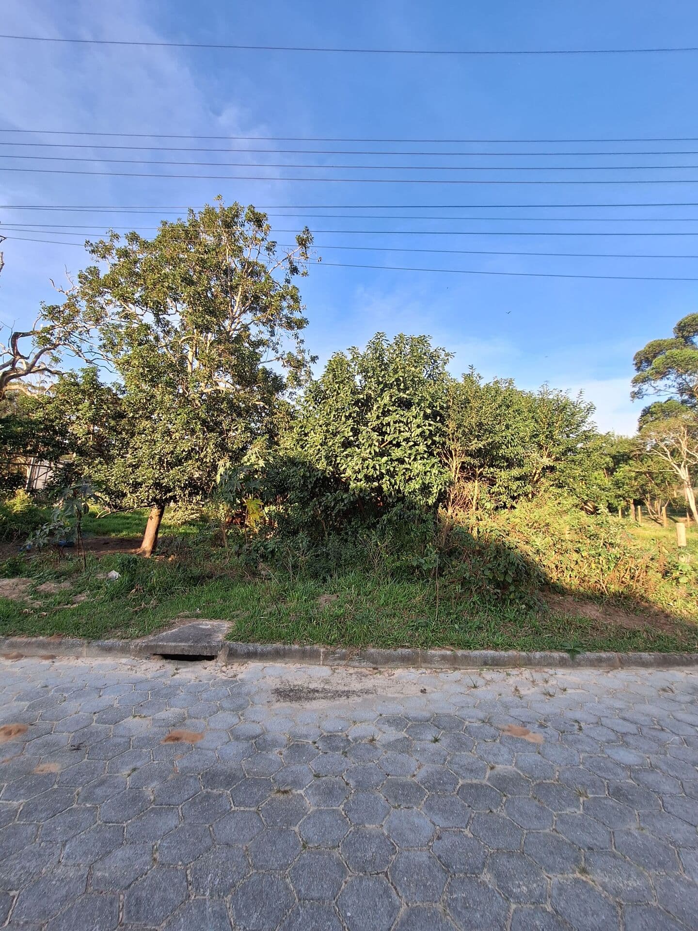 Terreno em Garopaba, próximo ao mar