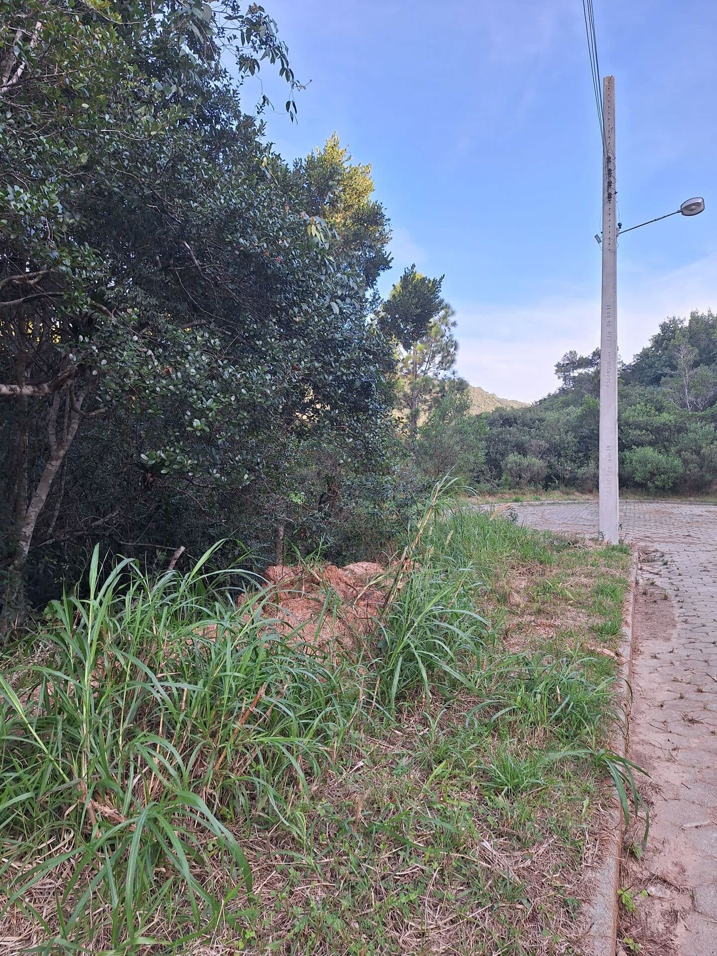 Lote Próximo ao Mar