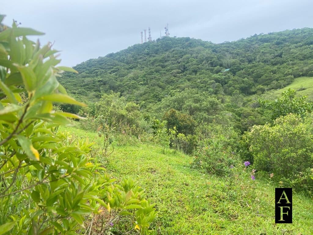 Terreno em Ambrósio 2492.23m²