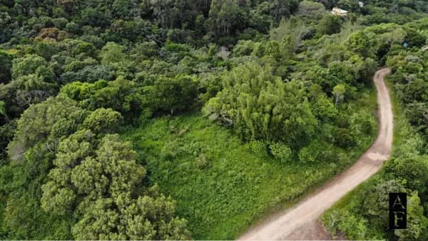 Terreno Morro do Silveira de 5,761m²