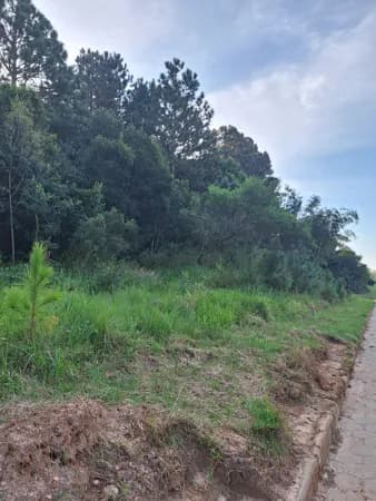Lote Próximo ao Mar