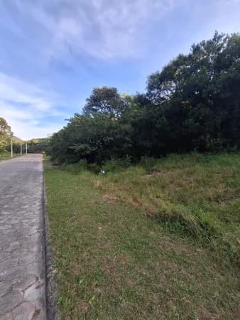 Lote Próximo ao Mar