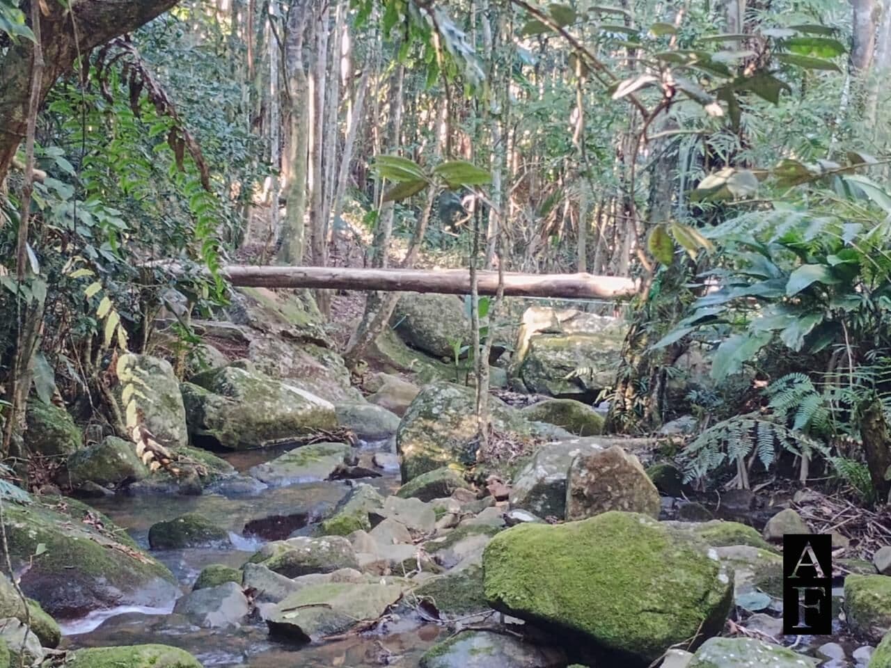 Terreno à venda na Praia do Siriú - Garopaba/SC