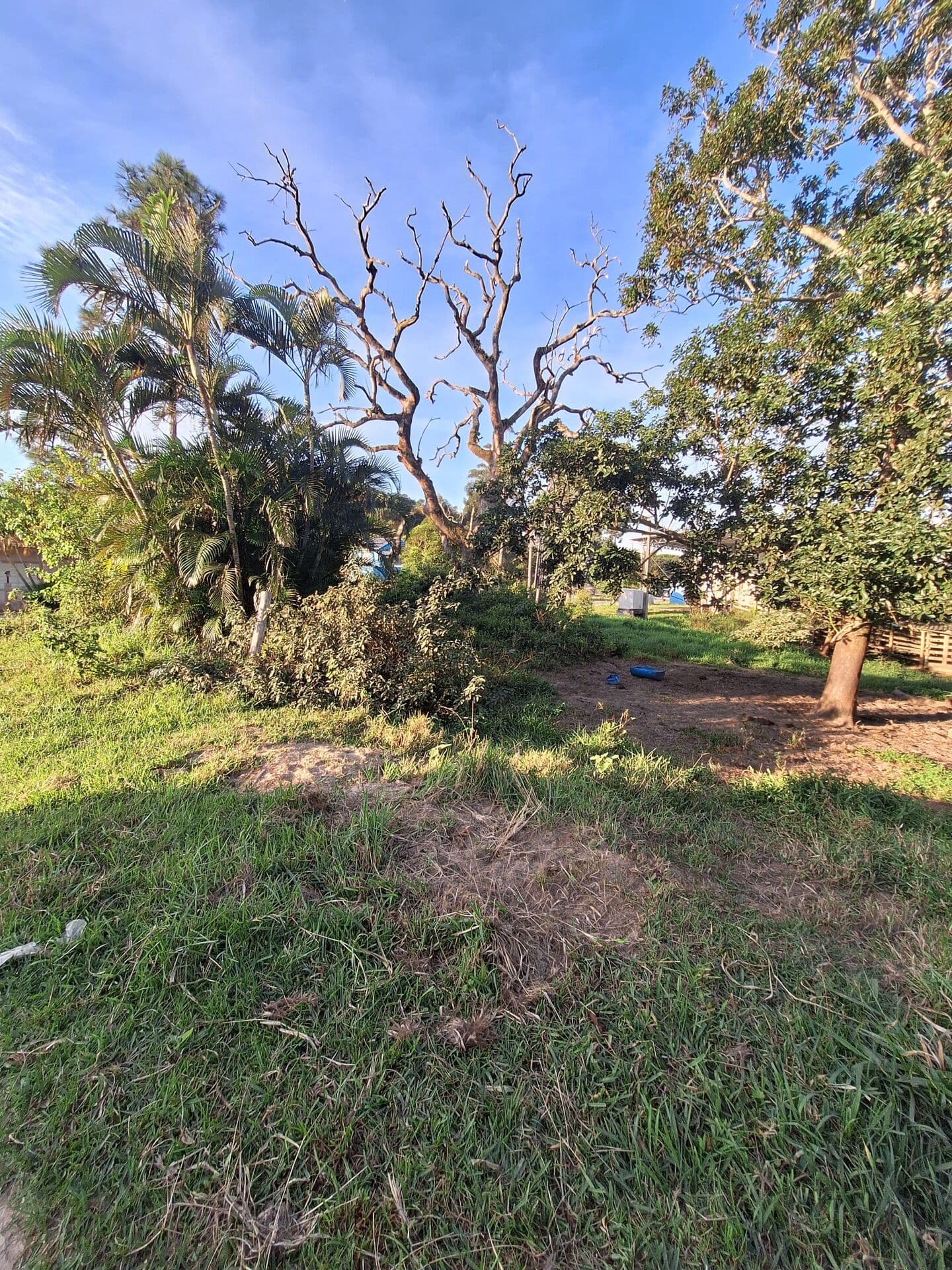 Lote Próximo ao Mar