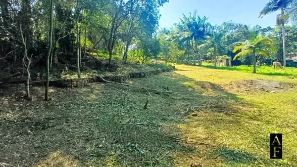 Terreno em meio a natureza