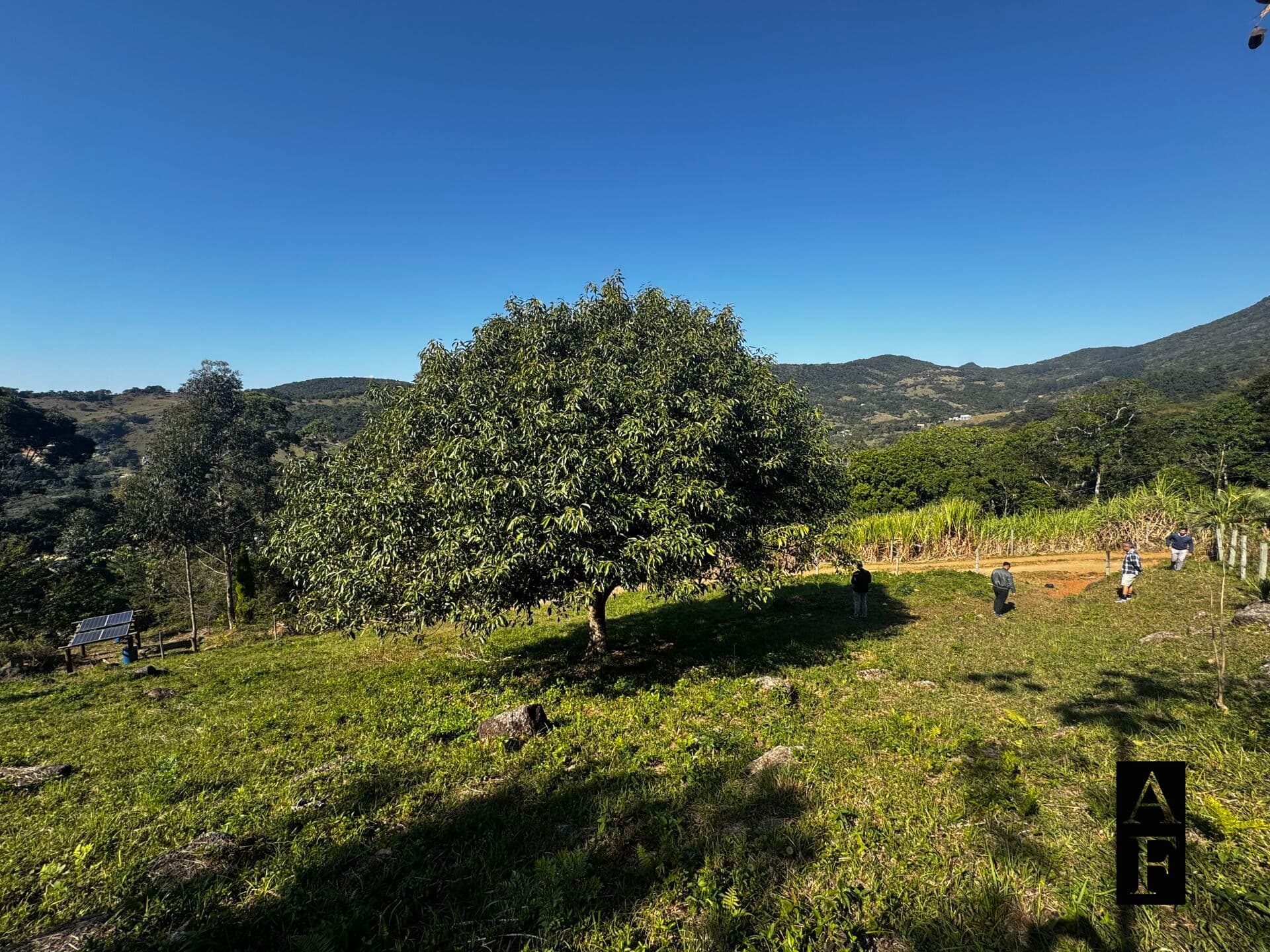 Terreno em meio a natureza em Garopaba SC