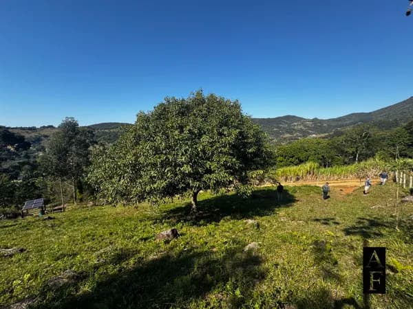 Terreno em meio a natureza em Garopaba SC