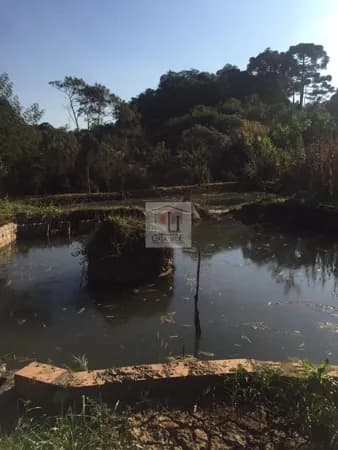 Excelente Chácara na Cidade de Mandirituba a venda..