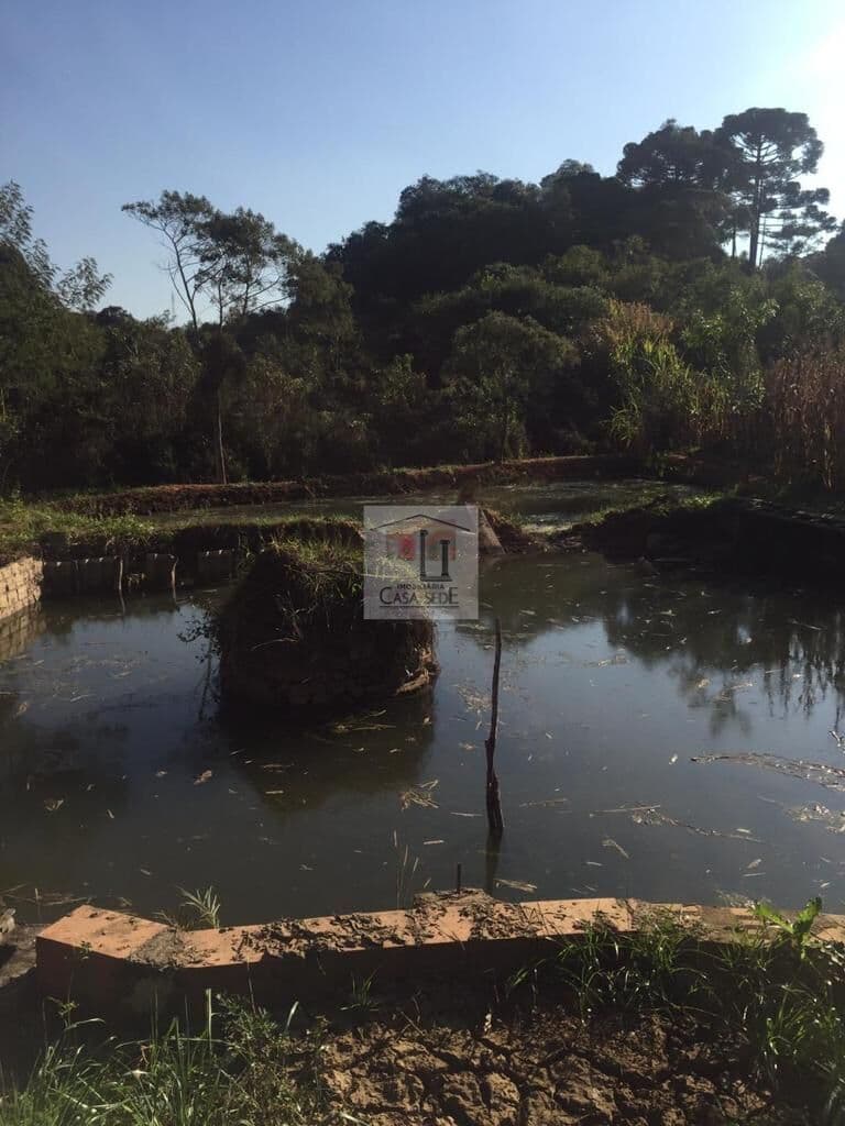 Excelente Chácara na Cidade de Mandirituba a venda..