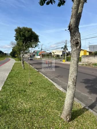 Lote/Terreno em Curitiba - Campo de Santana