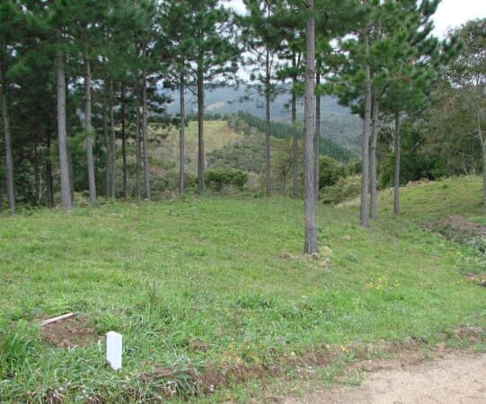 Lote/Terreno em Rancho Queimado - Centro