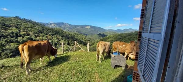 Fazenda/Sítios/Chácaras em Águas Mornas - Centro